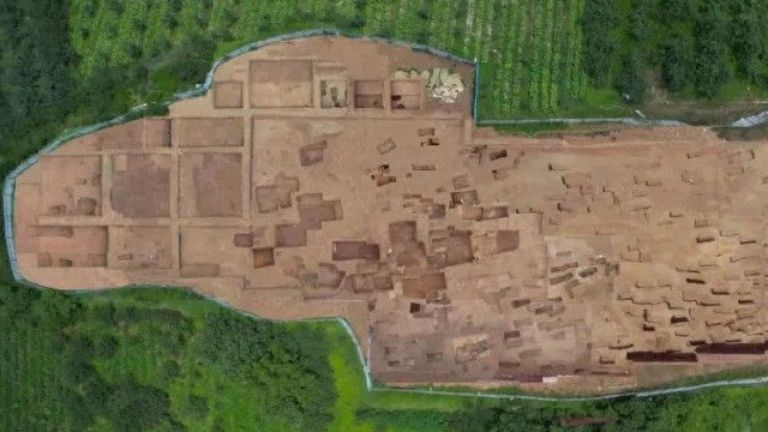 周志清：盐源老龙头墓怎样体现青铜文化交融？