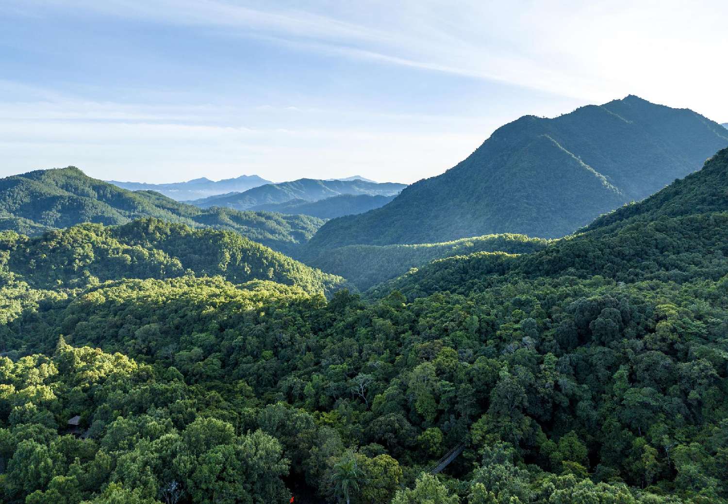 海南热带雨林国家公园五指山片区。中新社记者骆云飞摄
